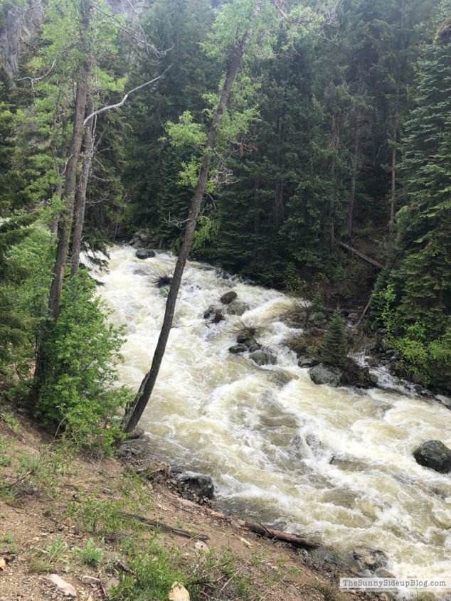 Vacation in Steamboat Springs (Sunny Lifestyles)