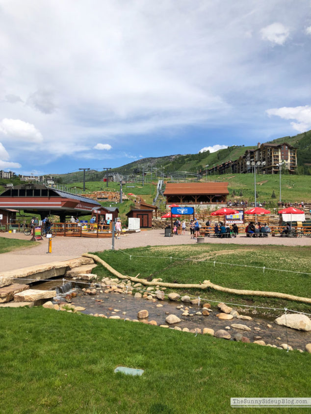 Vacation in Colorado Springs (Sunny Lifestyles)