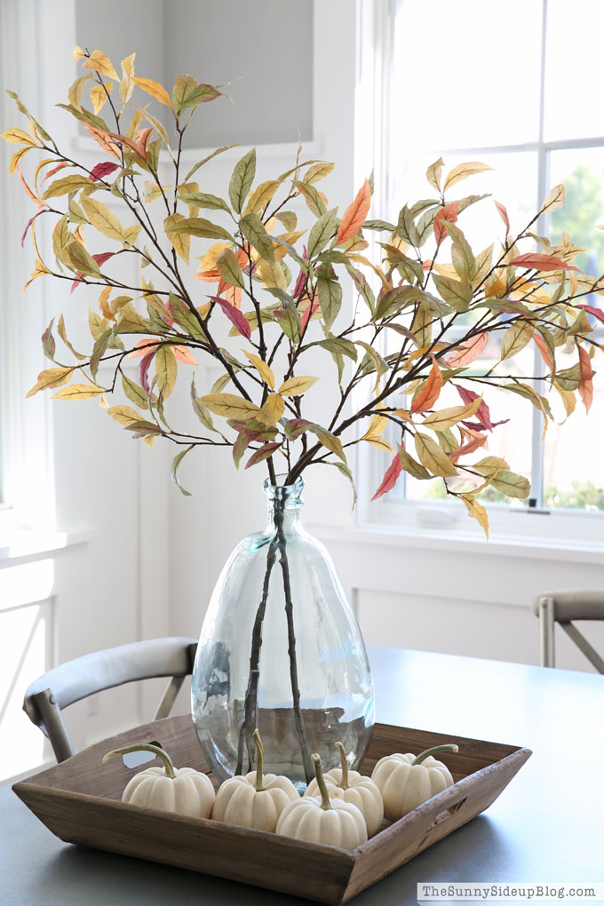Fall Favorites (Sunny Lifestyles)