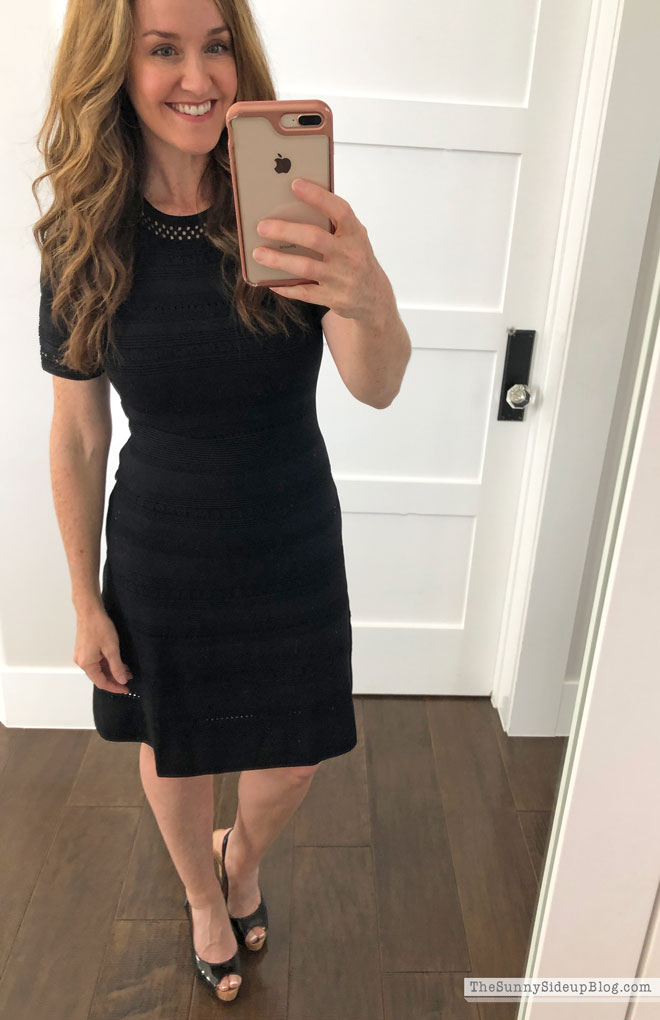 Fall Favorites (Sunny Lifestyles)