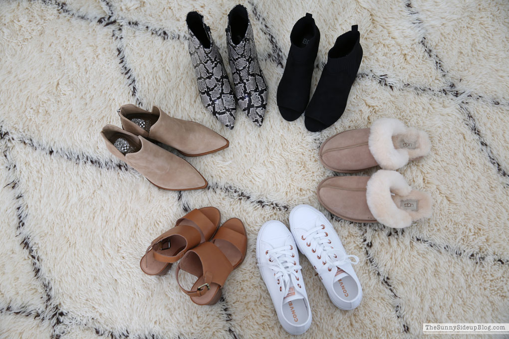 Fall Favorites (Sunny Lifestyles)