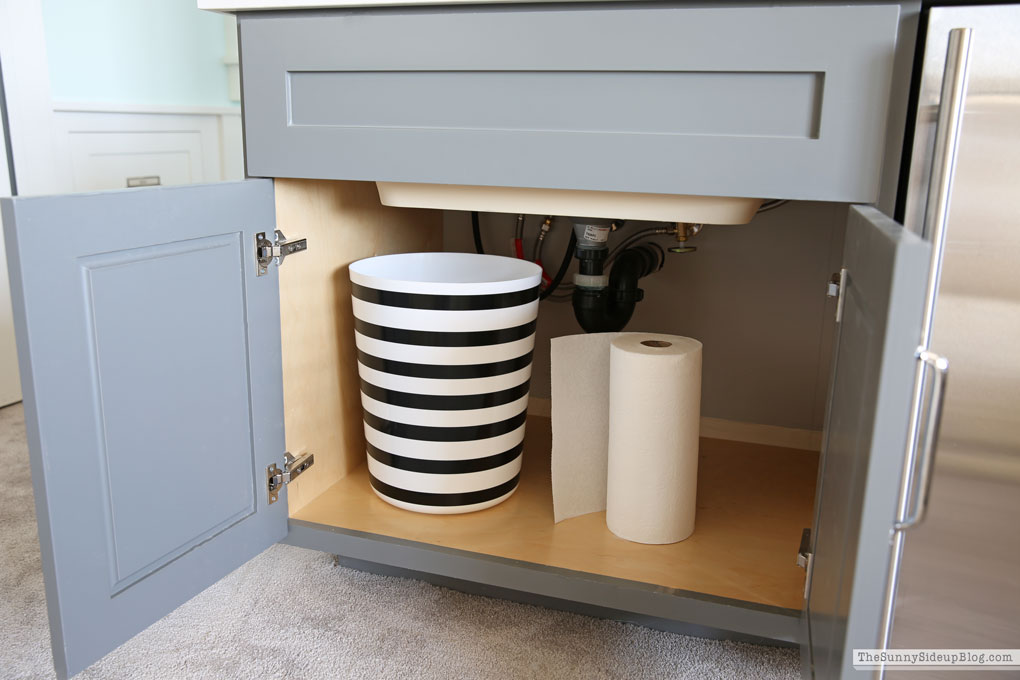 Theatre Room (organized drawers!) Sunny Lifestyles