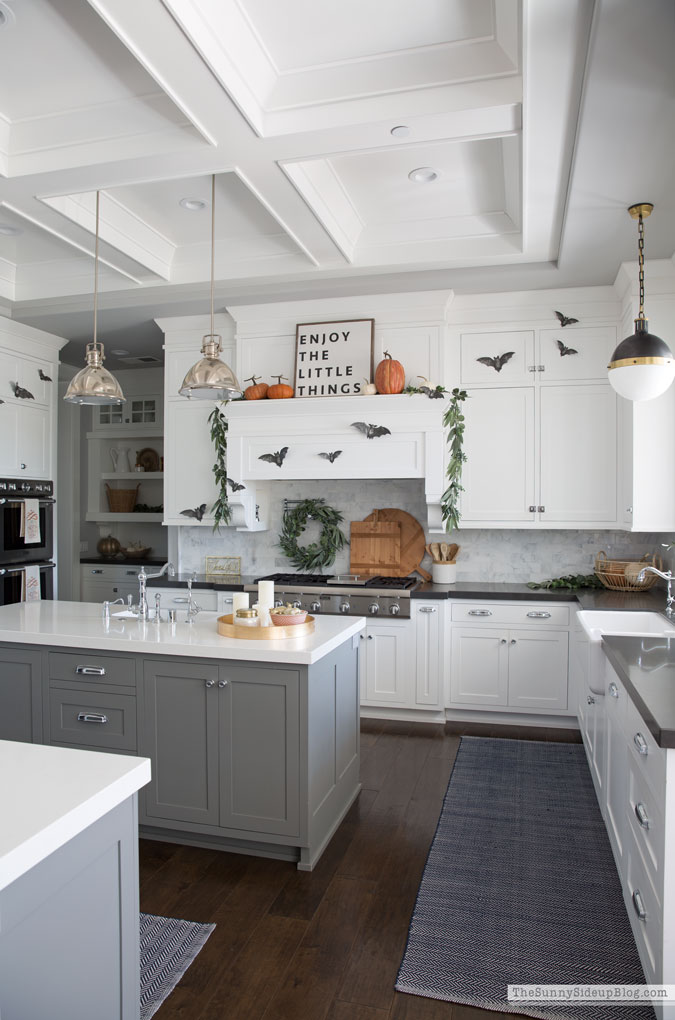 Shiplap Display Wall (Sunny Lifestyles)