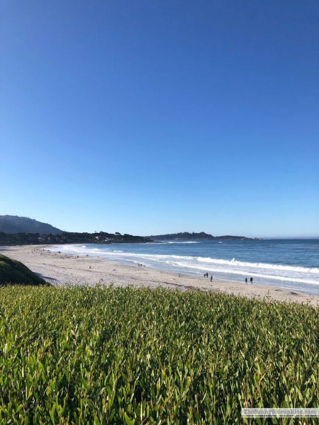 Carmel by the Sea (Sunny Lifestyles)