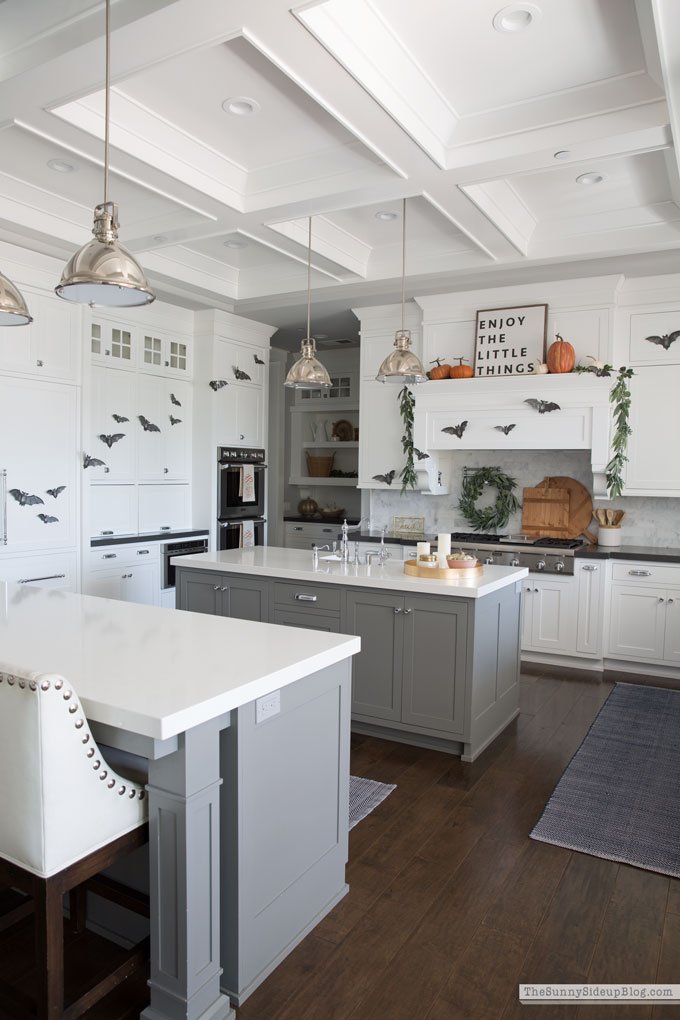 Shiplap Display Wall (Sunny Lifestyles)