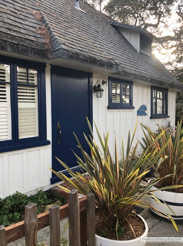 Carmel by the Sea (Sunny Lifestyles)