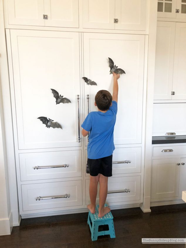 Shiplap Display Wall (Sunny Lifestyles)