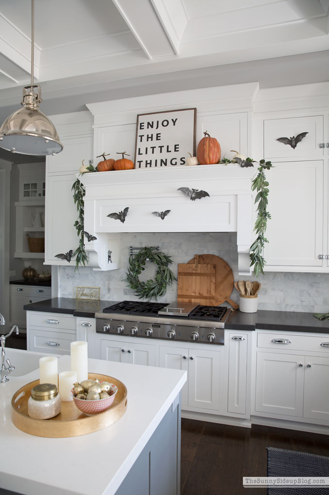 Shiplap Display Wall (Sunny Lifestyles)