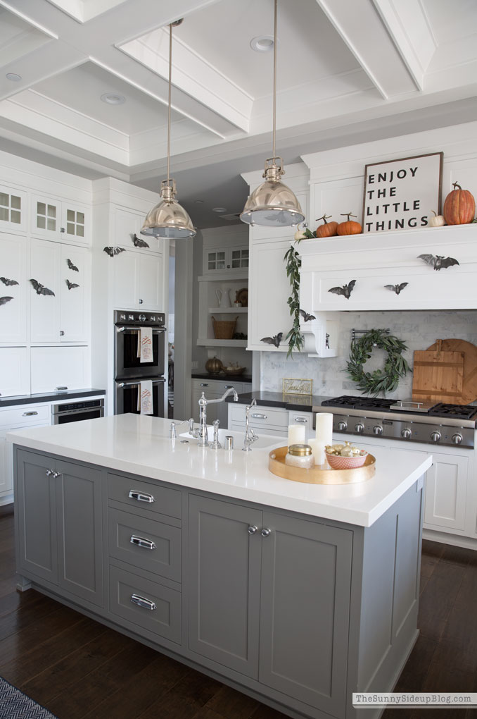 Shiplap Display Wall (Sunny Lifestyles)