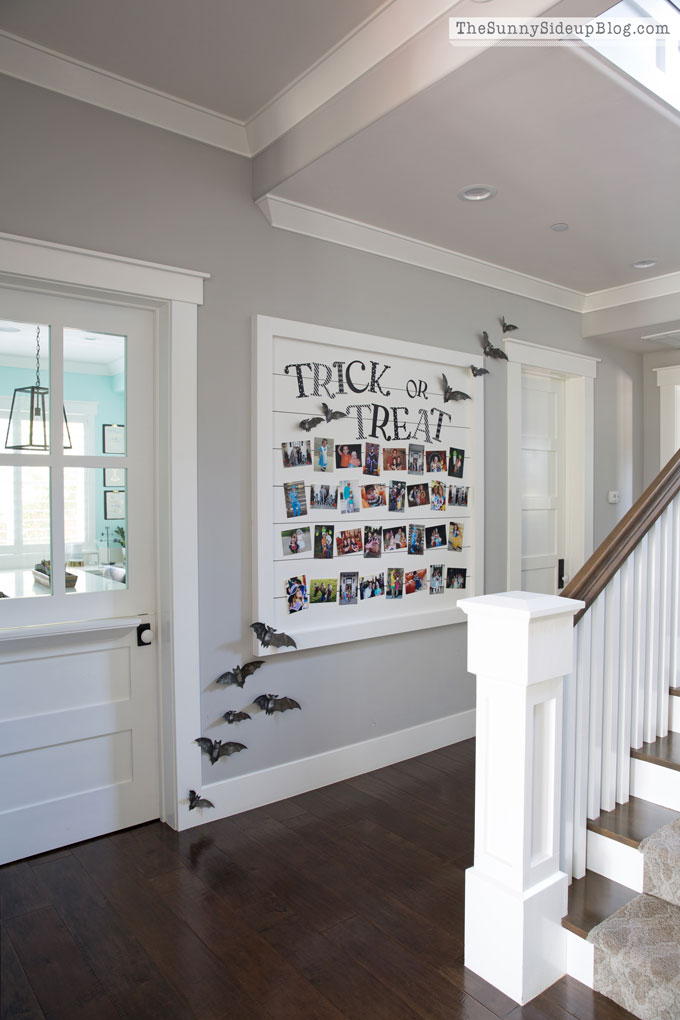 Shiplap Display Wall (Sunny Lifestyles)