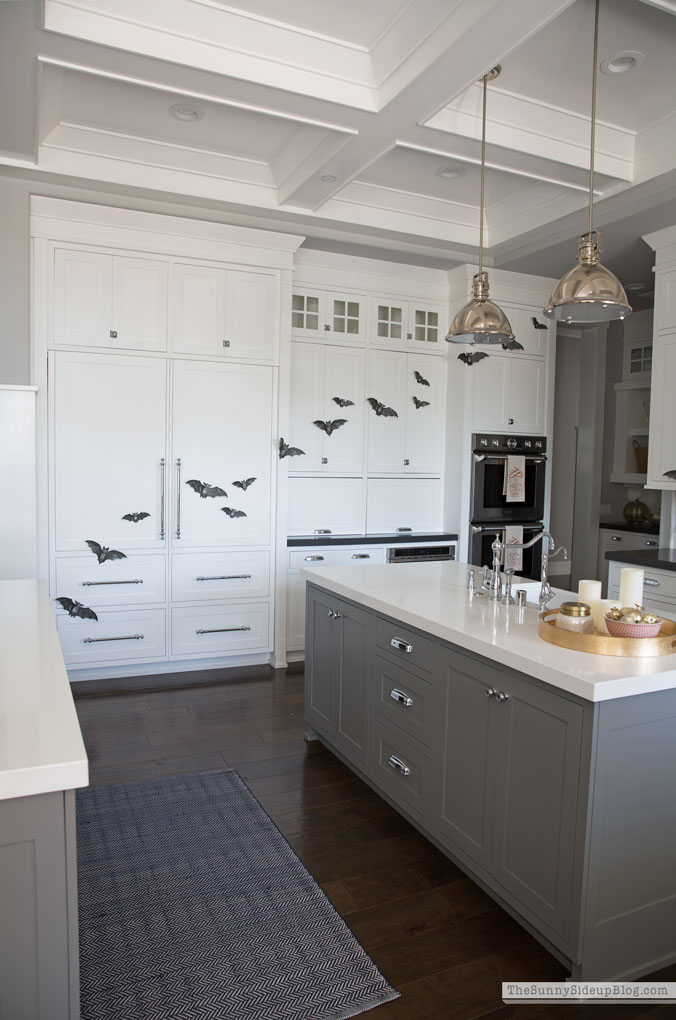 Shiplap Display Wall (Sunny Lifestyles)