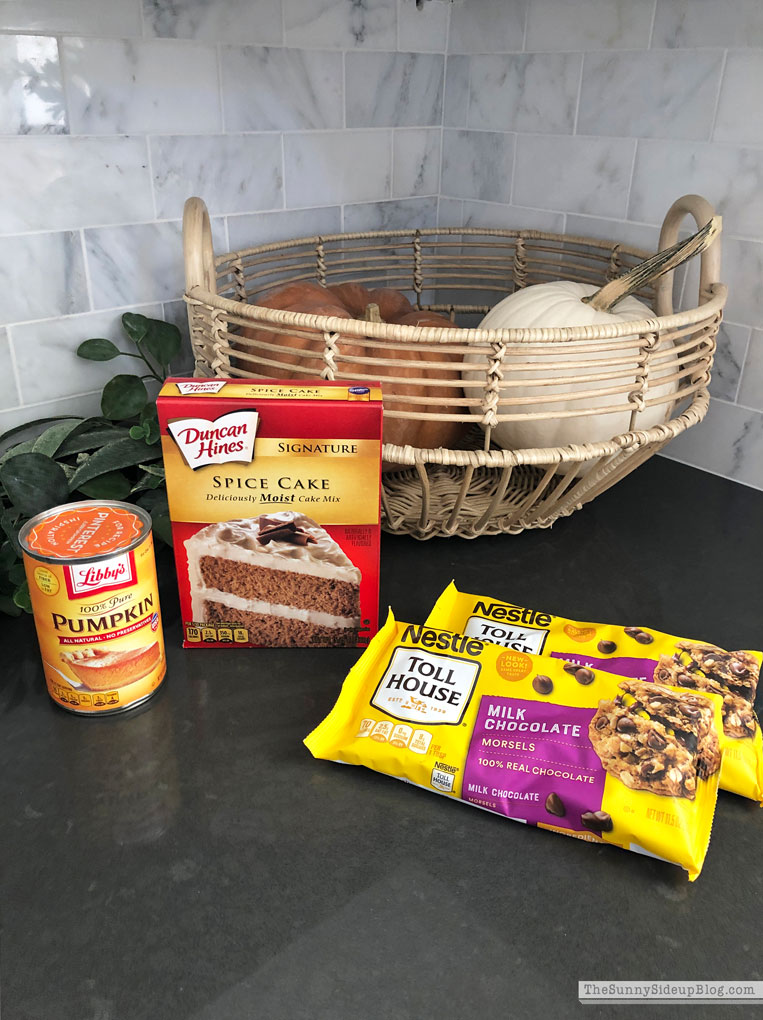 Fall Wrap Up (Sunny Lifestyles)