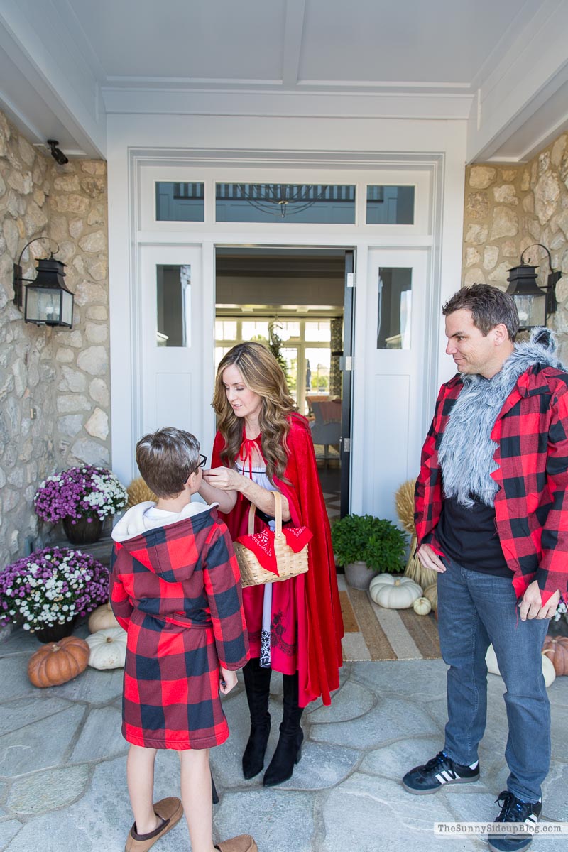 Fall Wrap Up (Sunny Lifestyles)