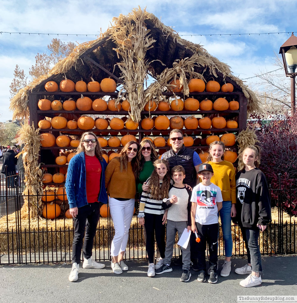 Fall Wrap Up (Sunny Lifestyles)