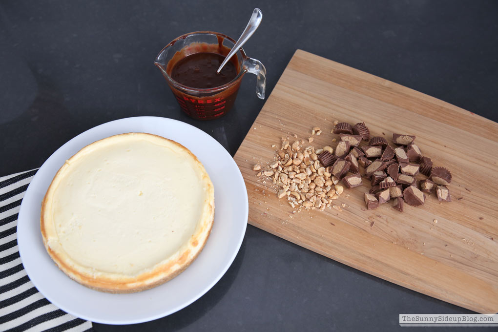 Thanksgiving Day Ideas (Sunny Lifestyles)