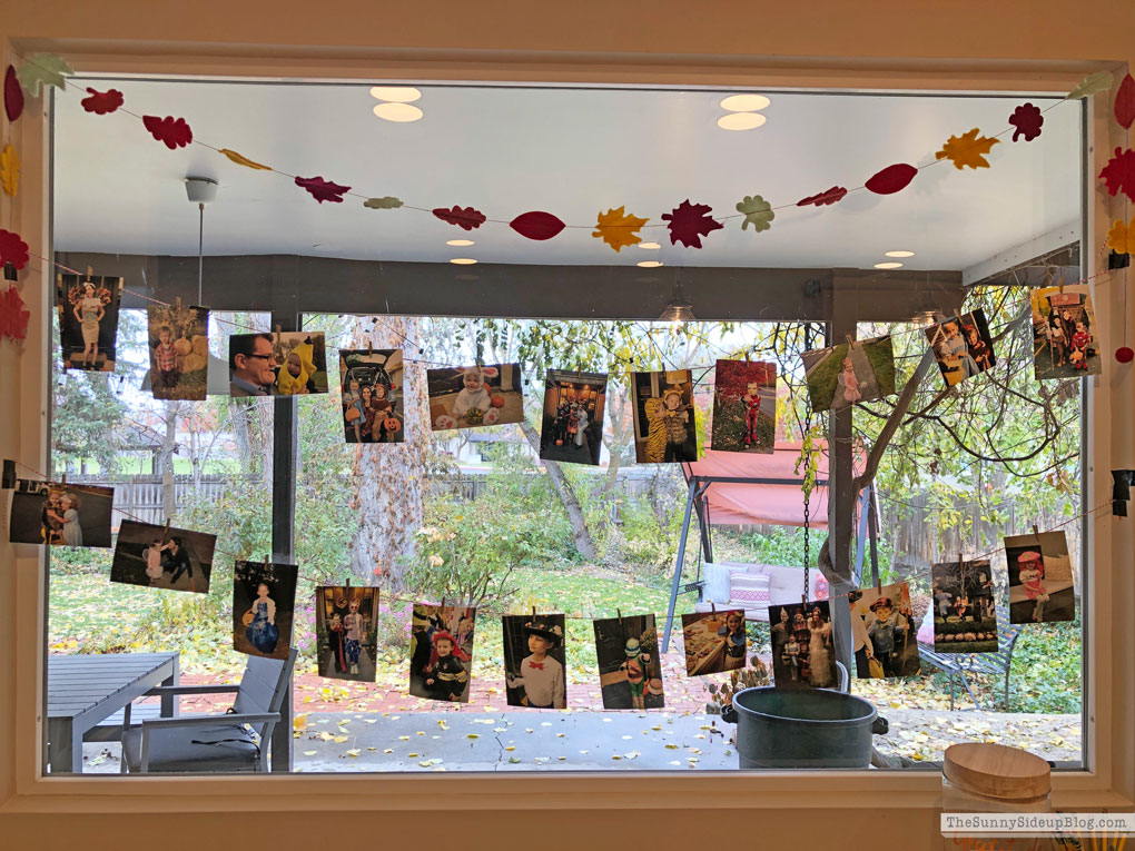 Fall Wrap Up (Sunny Lifestyles)