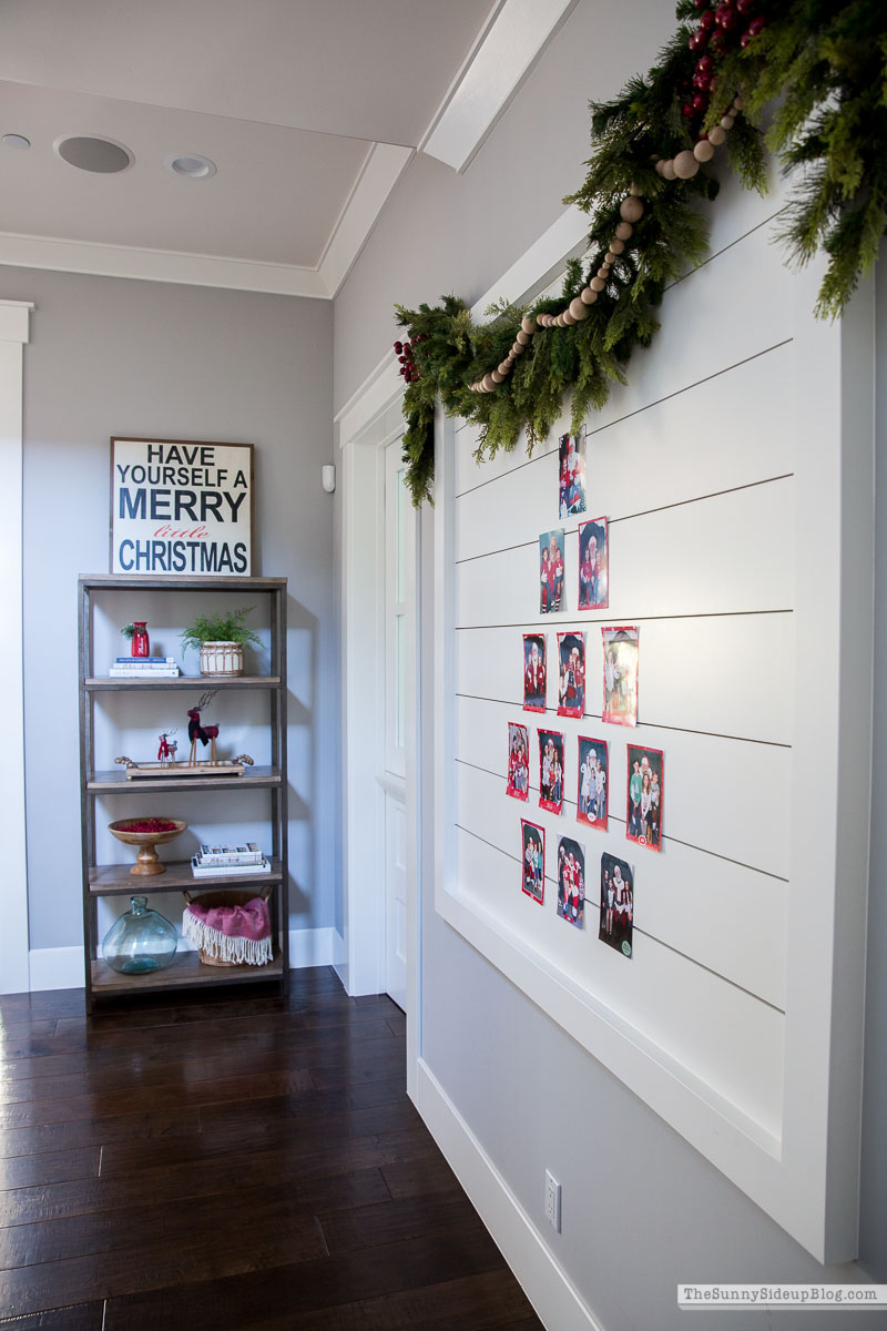Christmas Card Display Wall (Sunny Lifestyles)
