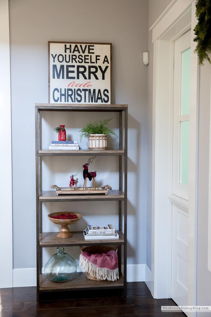 Christmas Card Display Wall (Sunny Lifestyles)