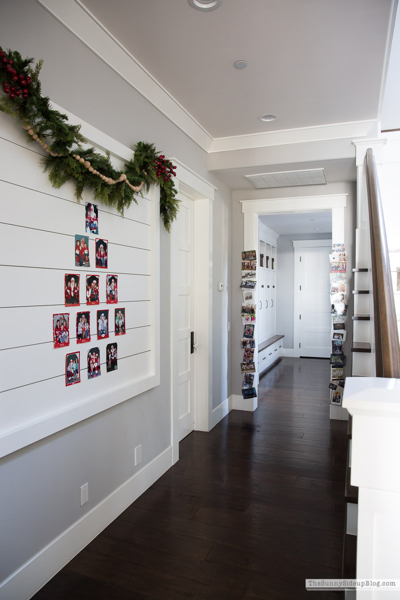 Christmas Card Display Wall (Sunny Lifestyles)