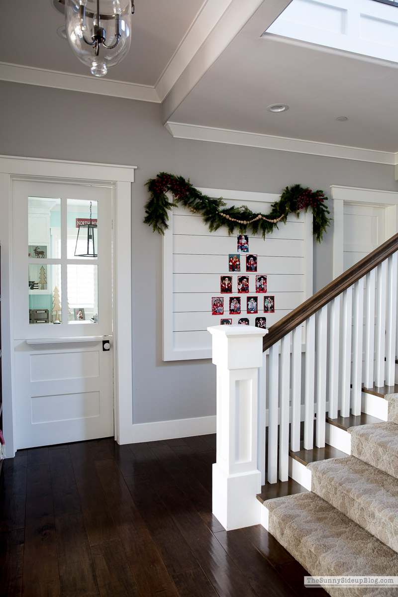 Santa Picture Display Wall (Sunny Lifestyles)