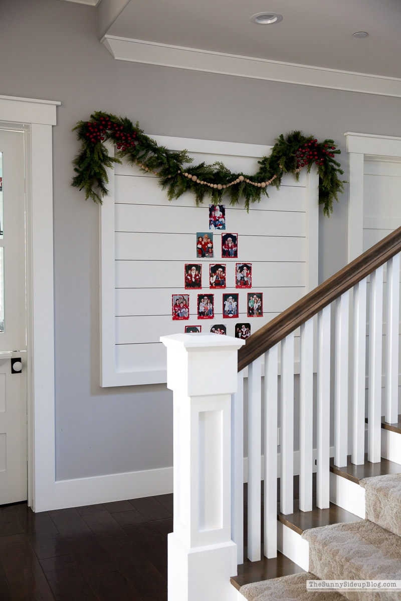 Santa Picture Display Wall (Sunny Lifestyles)