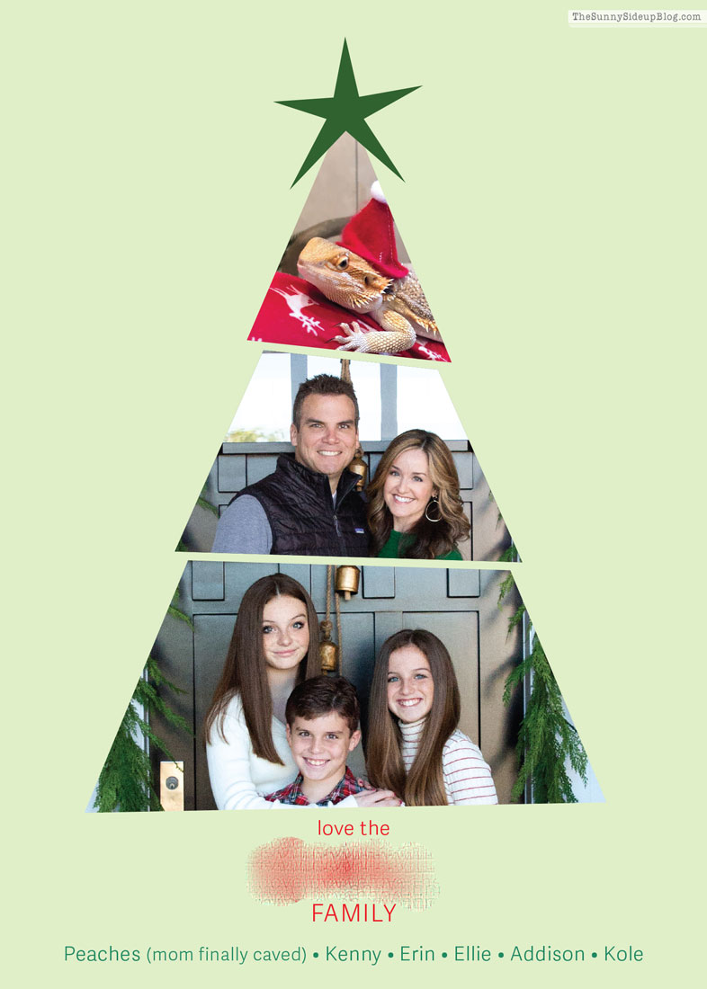 Merry Christmas (Sunny Lifestyles)