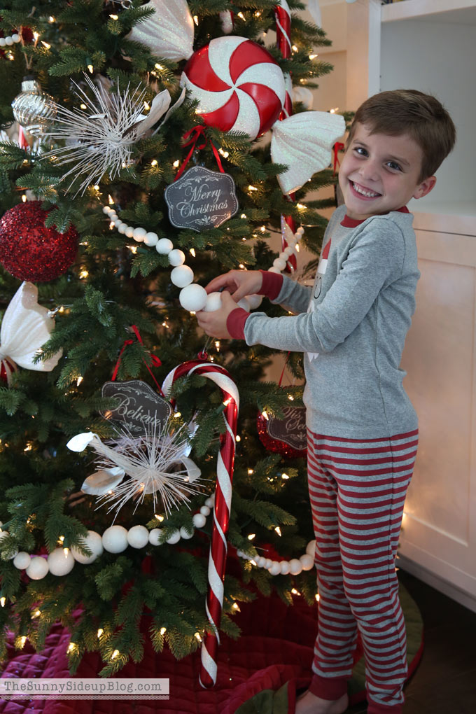 Favorite Christmas Pajamas (Sunny Lifestyles)