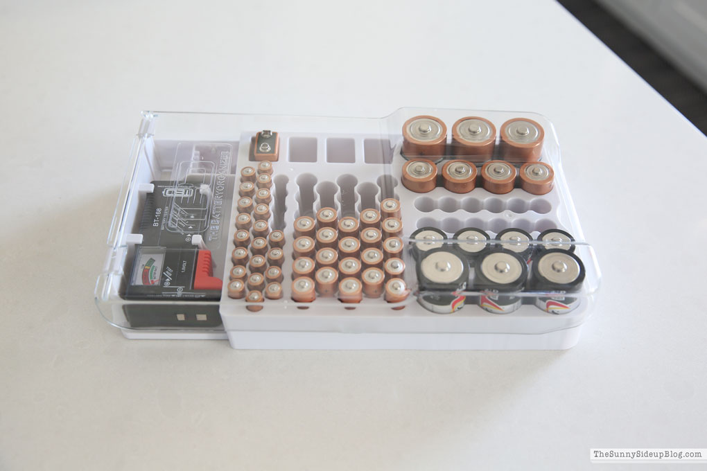 Favorites for Organizing (Sunny Lifestyles)