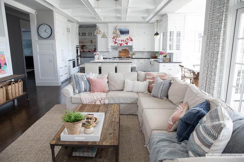 Favorite Pillows (Sunny Lifestyles)
