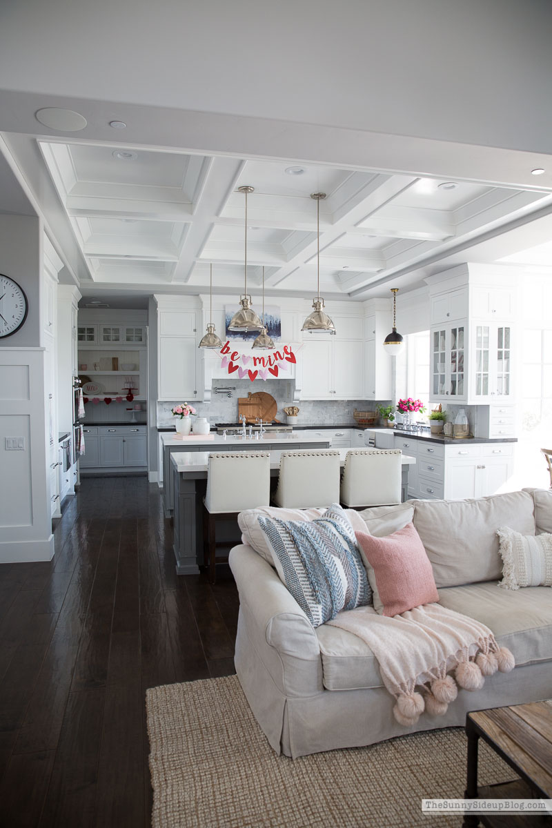 Favorite Pillows (Sunny Lifestyles)