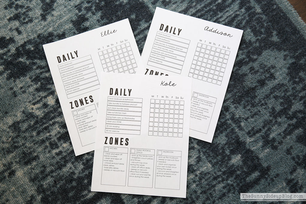 Organizing, Schedules and Recipes (Sunny Lifestyles)