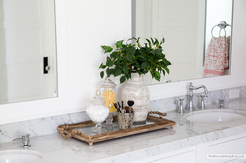 Bathroom Rugs for Spring (Sunny Lifestyles)