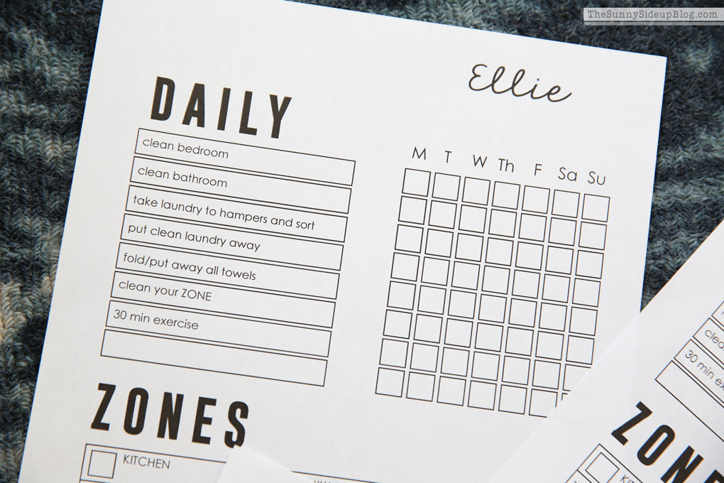 Zone Chore Chart (Sunny Lifestyles)
