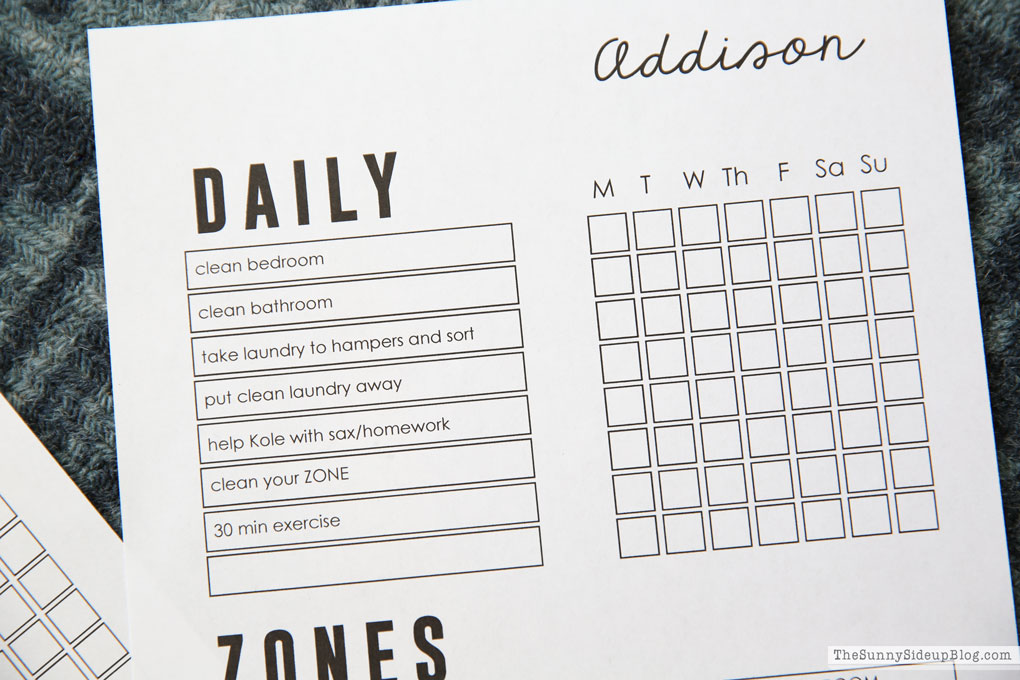 Zone Chore Chart (Sunny Lifestyles)