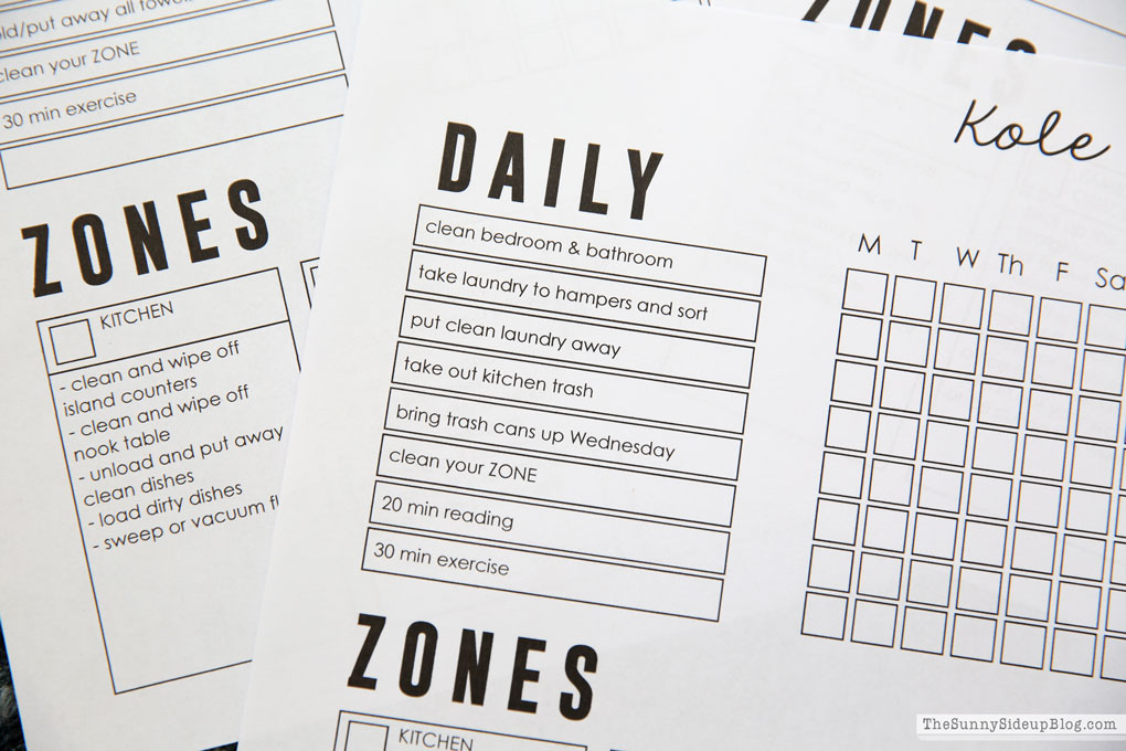 Zone Chore Chart (Sunny Lifestyles)