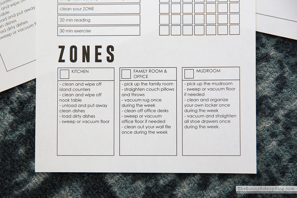 Zone Chore Chart (Sunny Lifestyles)