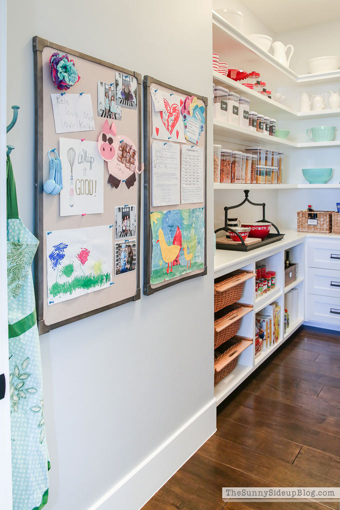 Organized Kitchen (Sunny Lifestyles)