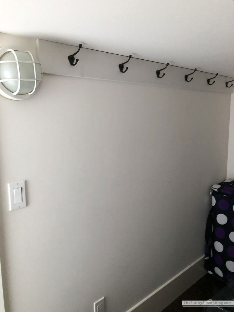 Organized Luggage Closet (Sunny Lifestyles)