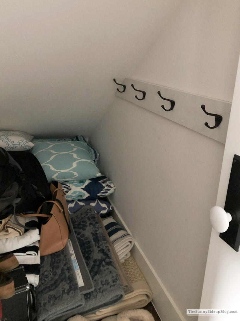 Organized Luggage Closet (Sunny Lifestyles)