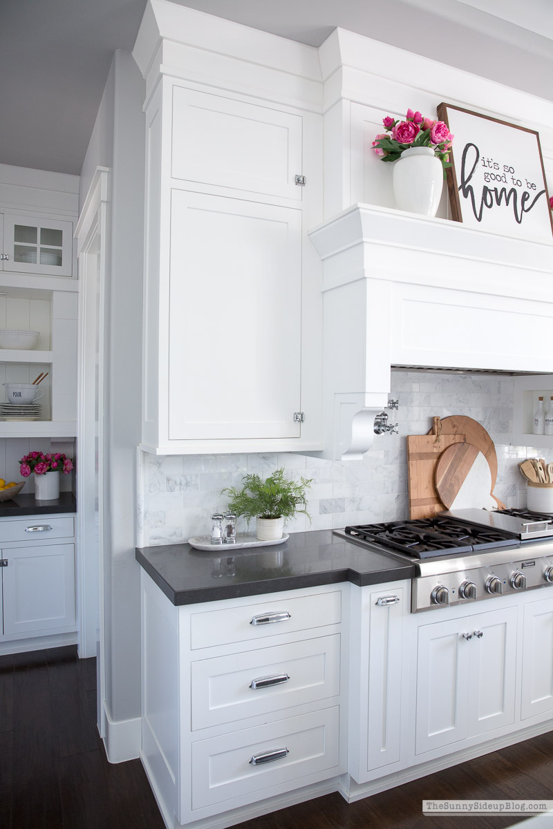 Organized Kitchen (Sunny Lifestyles)