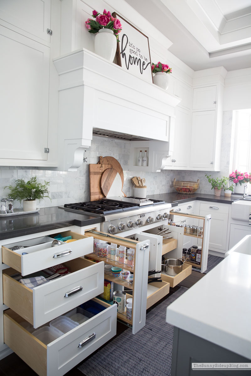 Organized Kitchen (Sunny Lifestyles)
