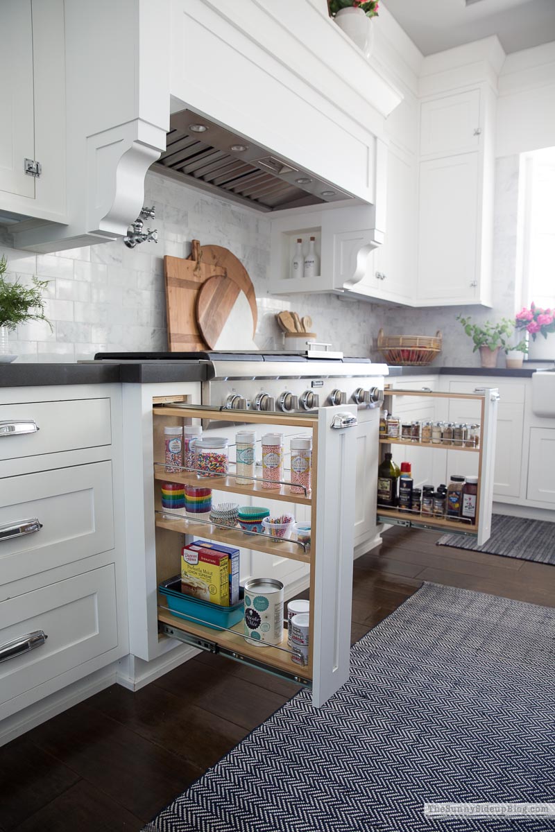 Organized Kitchen (Sunny Lifestyles)