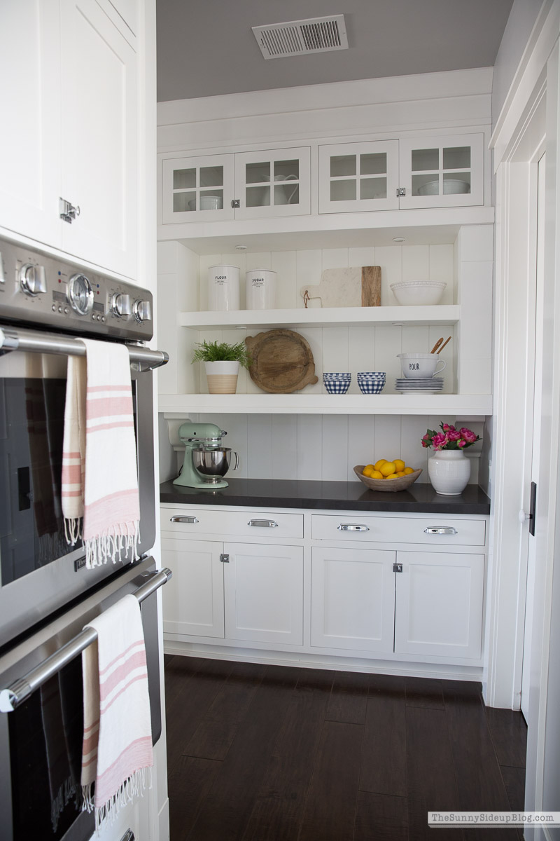Organized Kitchen (Sunny Lifestyles)