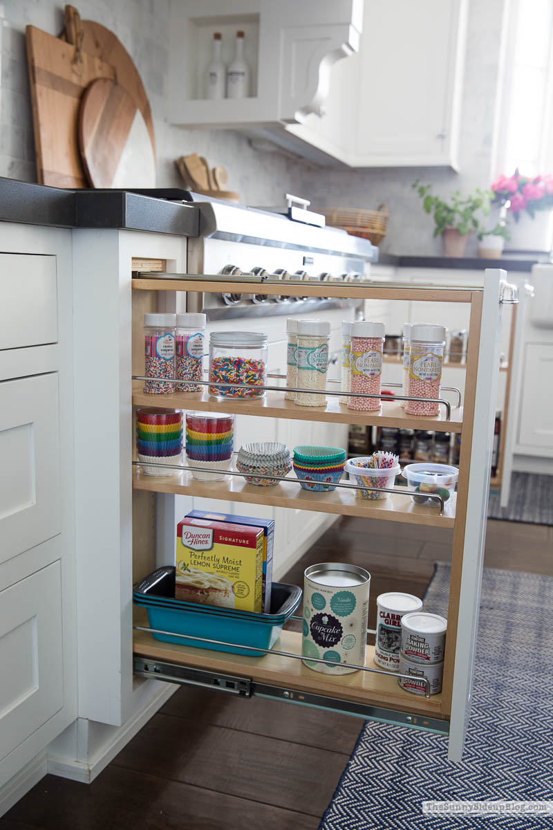 Organized Kitchen (Sunny Lifestyles)
