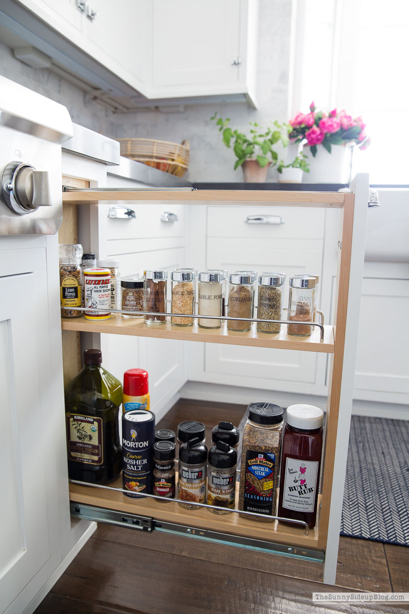Organized Spices (Sunny Lifestyles)