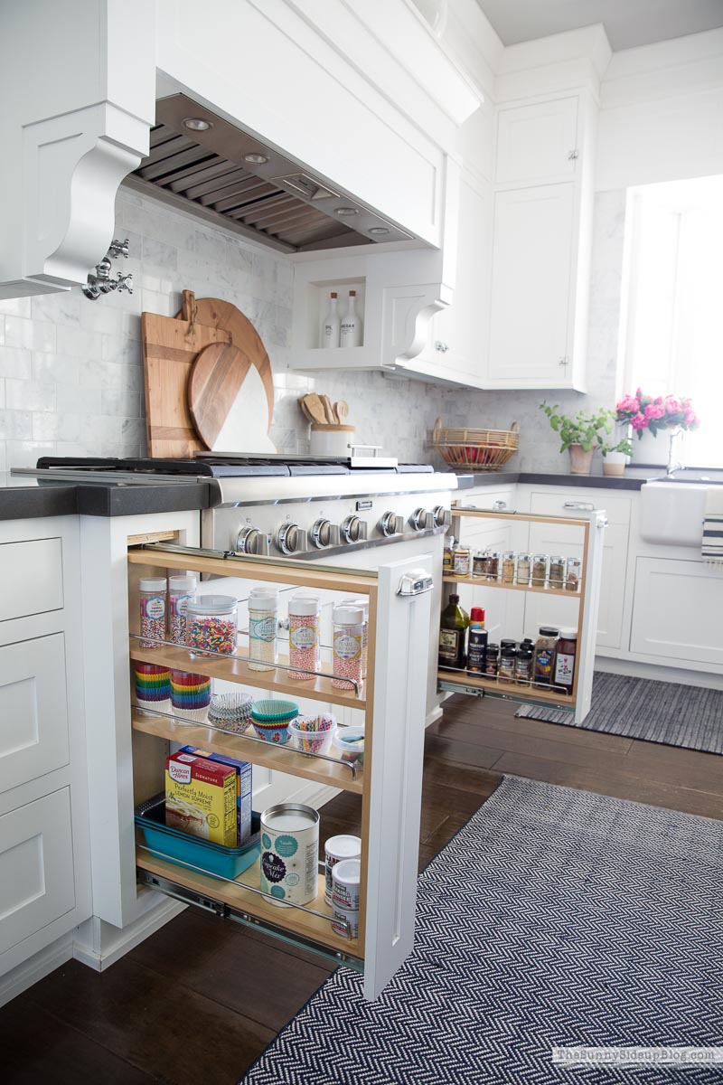 Organized Spices (Sunny Lifestyles)