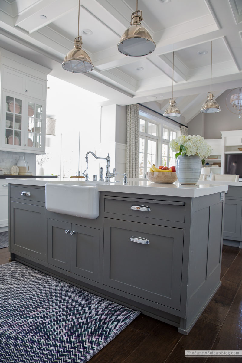Organized Kitchen (Sunny Lifestyles)