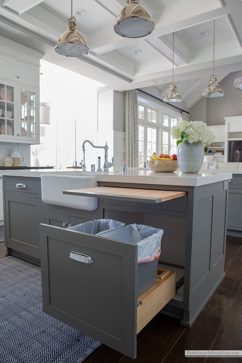 Organized Kitchen (Sunny Lifestyles)