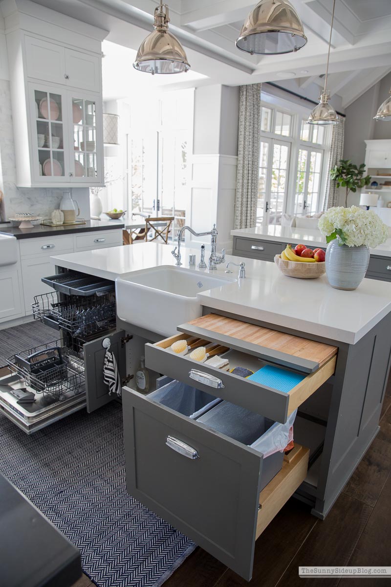 Organized Kitchen (Sunny Lifestyles)