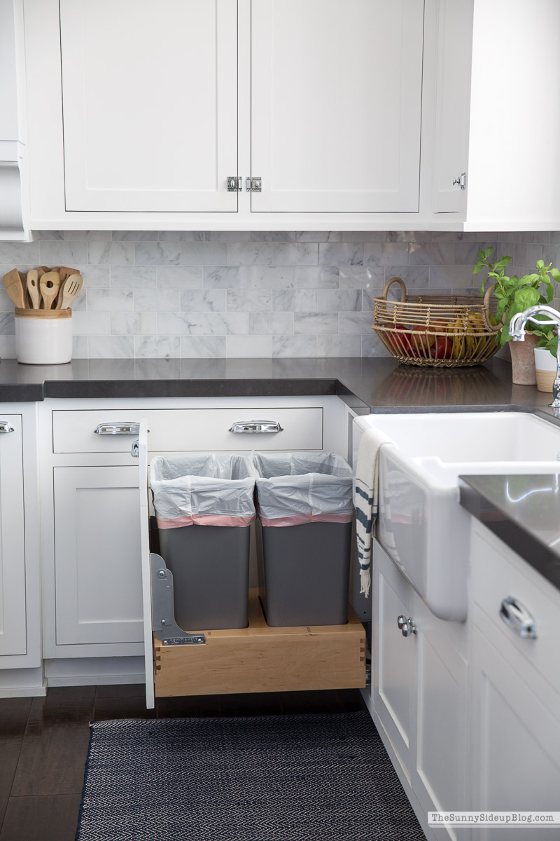 Organized Kitchen (Sunny Lifestyles)